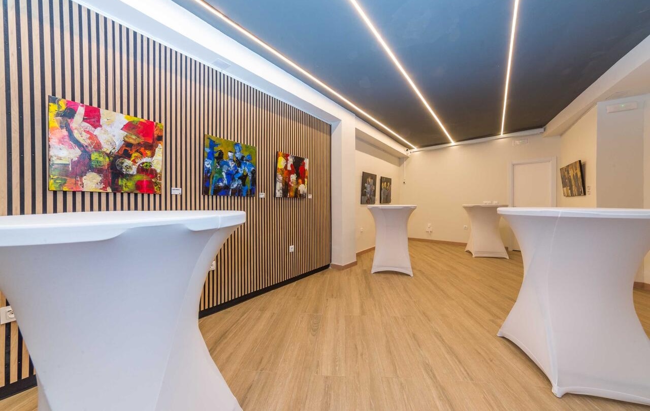 Sala Flex Video 7